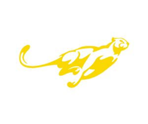 cheetah logo